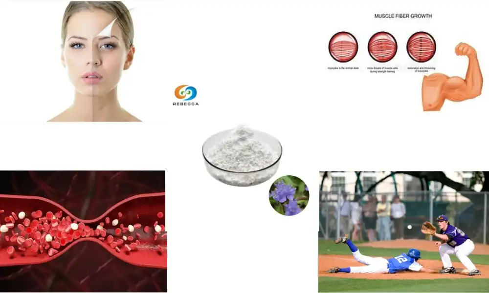 Does ecdysterone work?